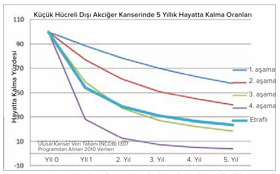 Küçük hücreli dışı akciğer kanserinde evrelere göre 5 yıllık hayatta kalma oranları