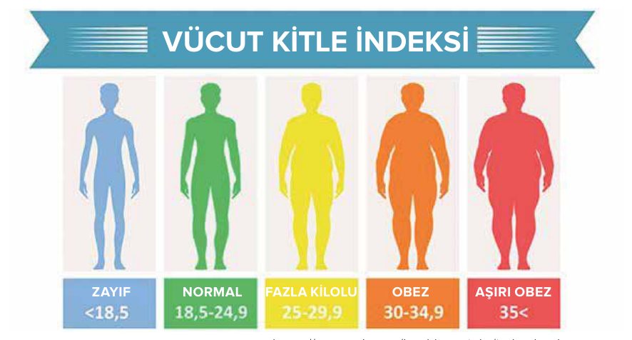 Vücut kitle indeksi kategorileri: zayıf, normal, fazla kilolu, obez ve aşırı obez